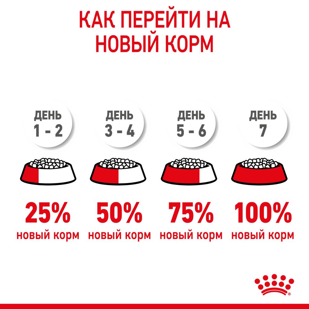 Корм для щенков ROYAL CANIN X-Small Puppy для миниатюрных пород до 10мес. сух.