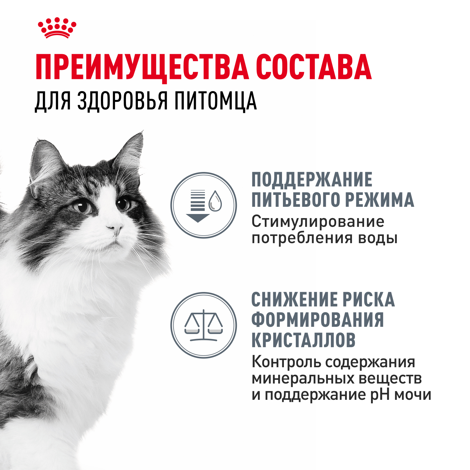 Корм для кошек ROYAL CANIN Urinary Care для подд.здор. мочевыд.сист., мелк.кусочки в соусе пауч