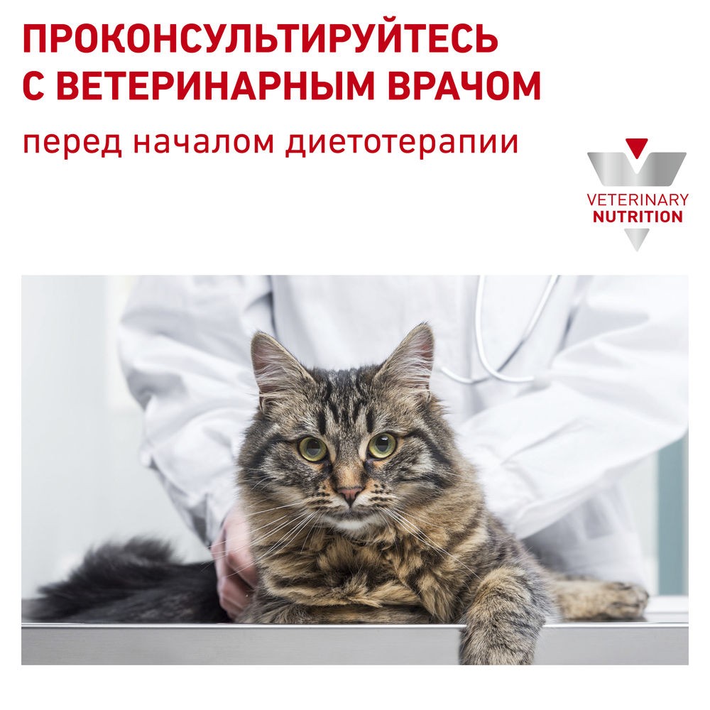 Корм для кошек ROYAL CANIN Skin & Coat для поддержания защитных функций кожи сух.