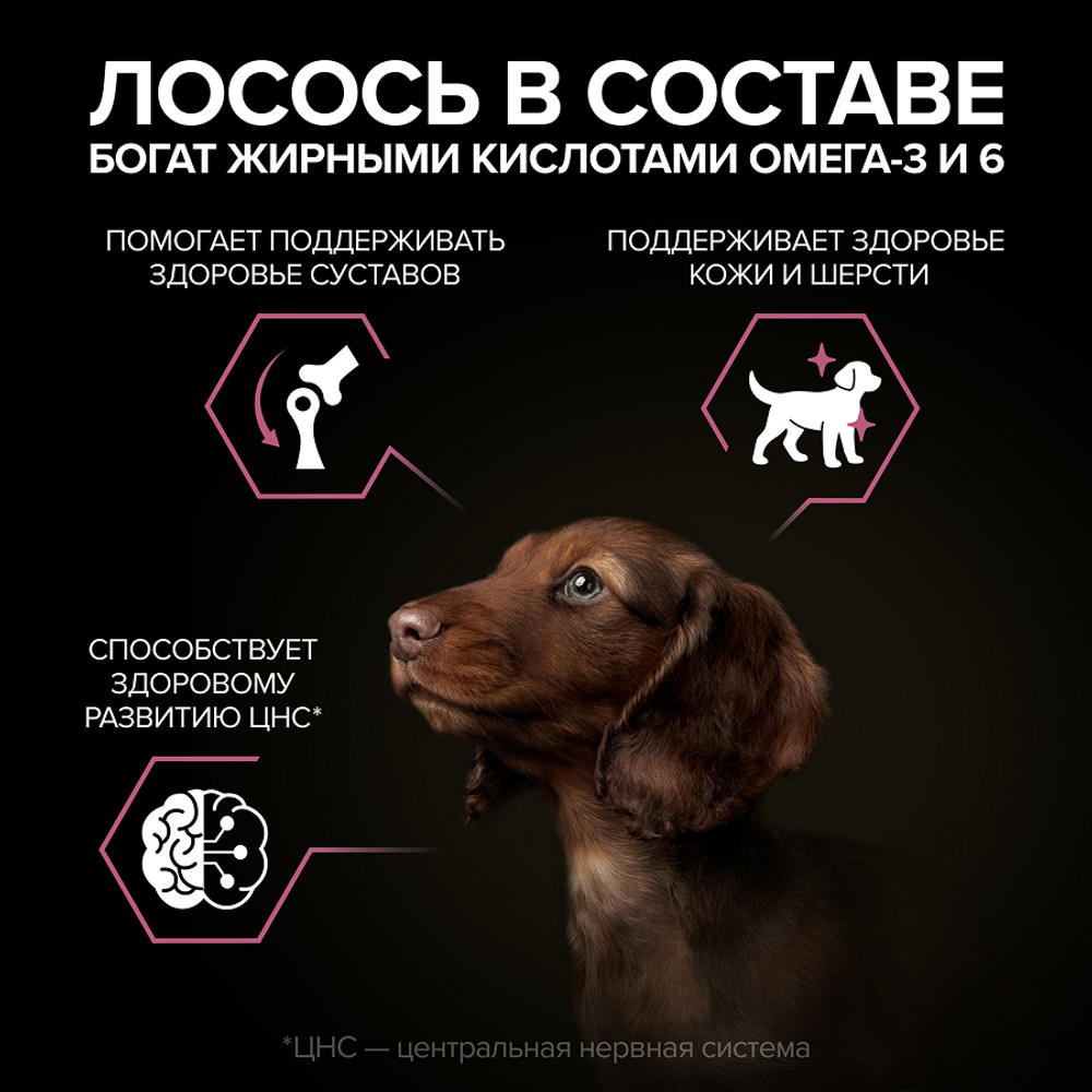 Корм для щенков PRO PLAN Sensitive Skin для мелких и карлик.пород с чувствит.кожей, лосось сух.