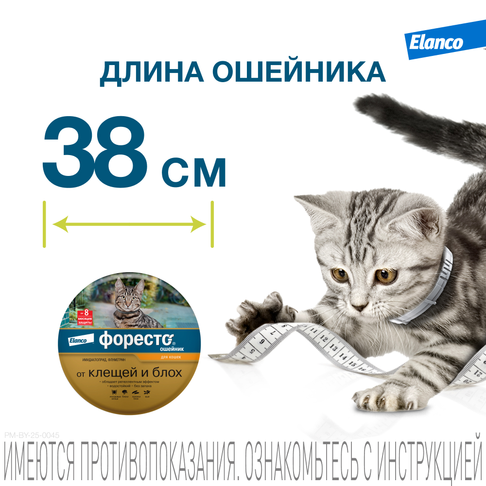 Ошейник для кошек ELANCO Форесто от клещей, блох и вшей, защита 8 месяцев