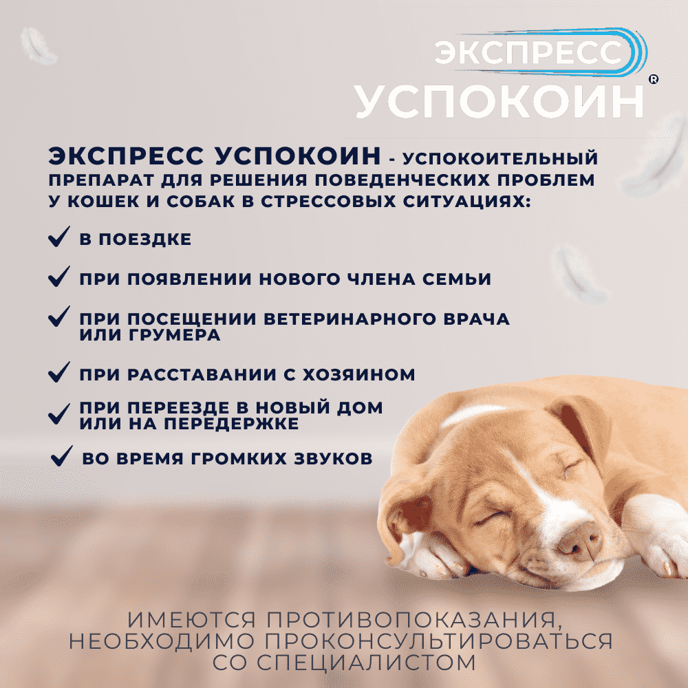 Таблетки для собак средних и крупных пород ЭКСПРЕСС УСПОКОИН коррекция поведения 6шт