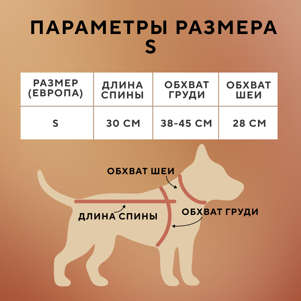 Свитер для собак FOXIE Beige geometry бежевый