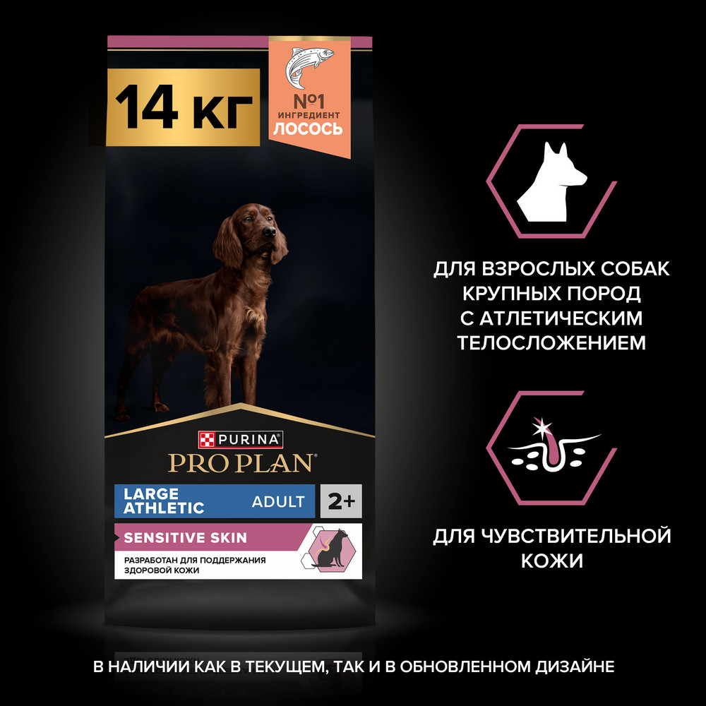 Корм для собак PRO PLAN Sensitive Skin для крупных пород с атлетическим телослож., лосось сух.