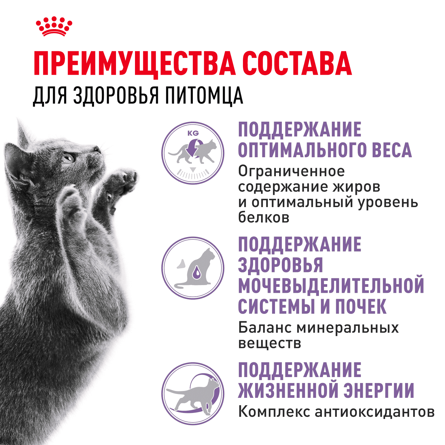 Корм для кошек ROYAL CANIN Sterilised 7+ сбалансированный для стерилизованных сух.