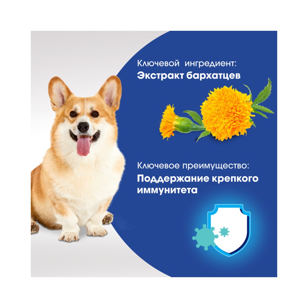 Лакомство для собак PERFECT FIT Иммунитет говядина