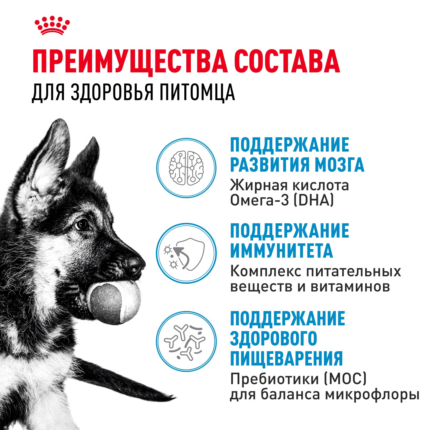 Корм для щенков ROYAL CANIN Maxi Puppy для крупных пород до 15 месяцев, сух.
