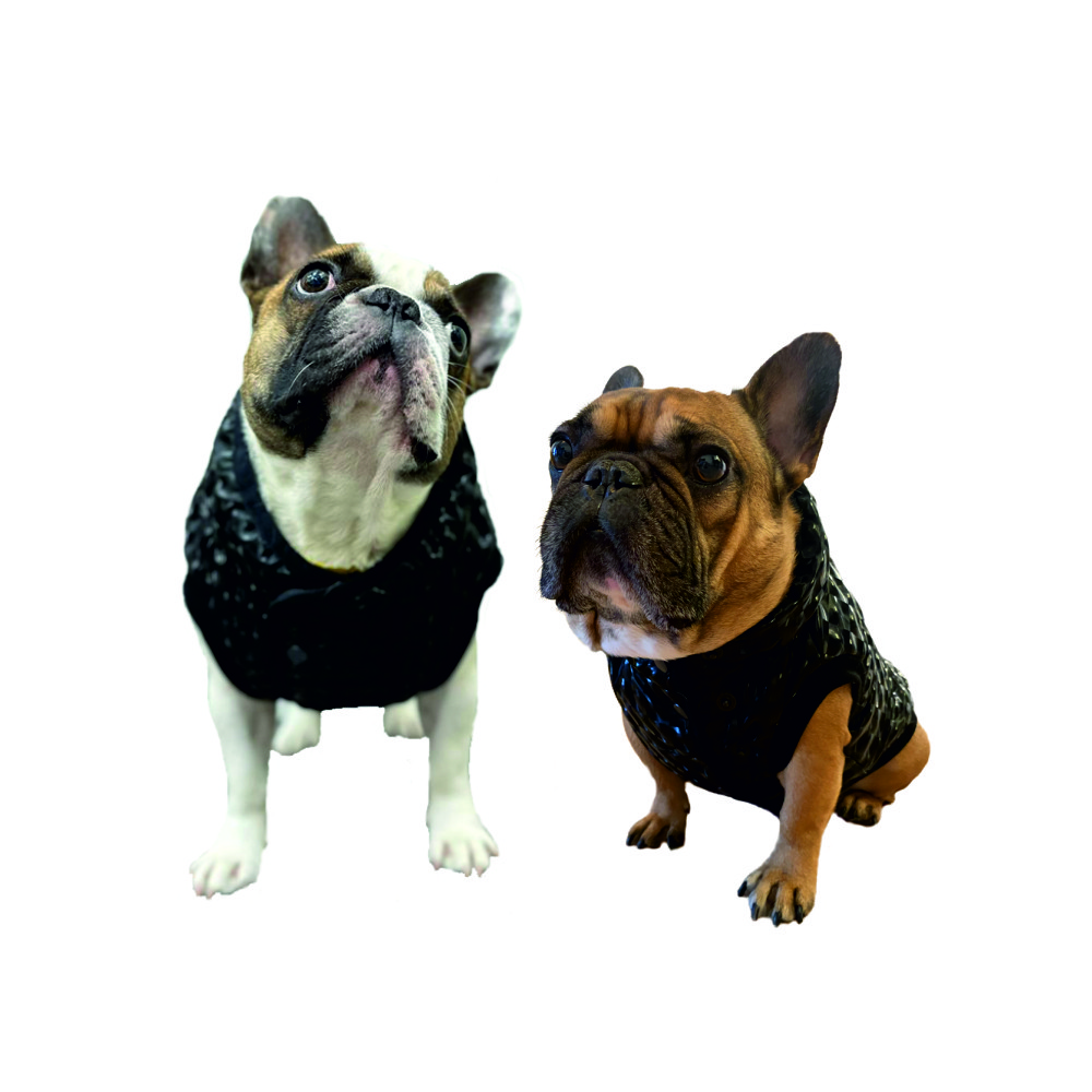 Жилетка для собак FORBULLDOGY утеплённая размер L/XL