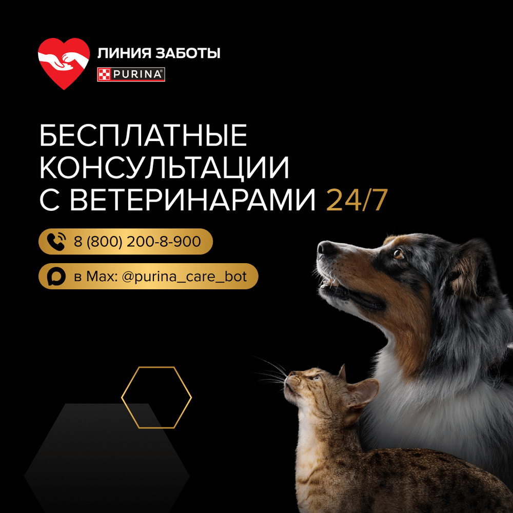Корм для котят PRO PLAN Delicate Digestion с чувствит.пищеварением, индейка сух. 400г+200г ПОДАРОК