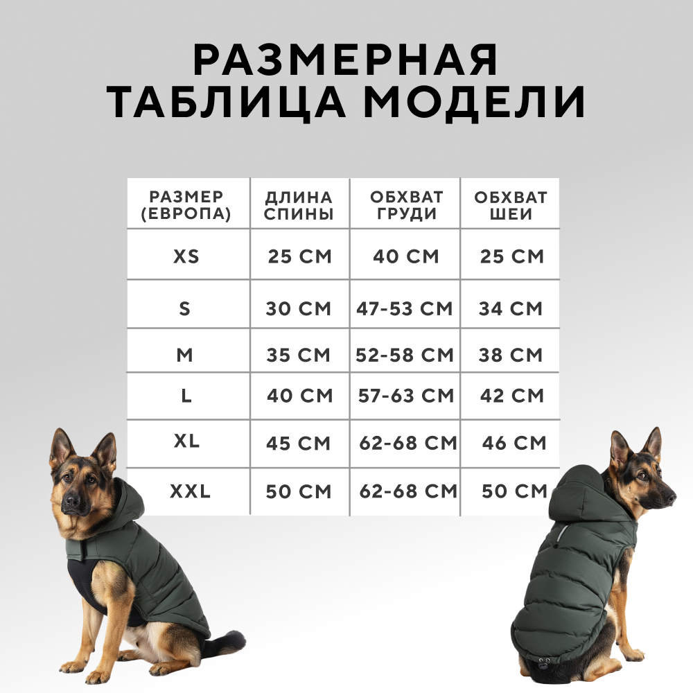 Попона для собак FOXIE Frost and sun с козырьком зеленая