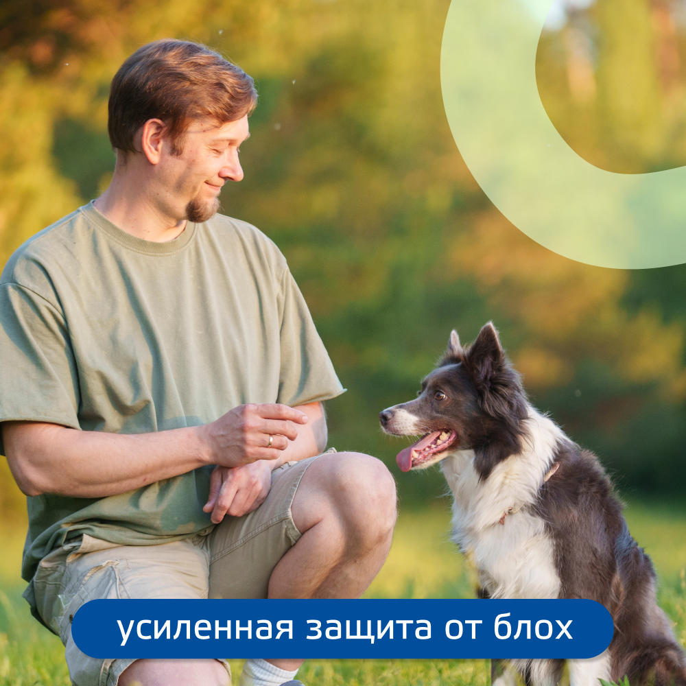 Капли для собак KRKA Фиприст Комбо от клещей и усиленным действием против блох (10-20кг) 1,34мл, 1 пипетка