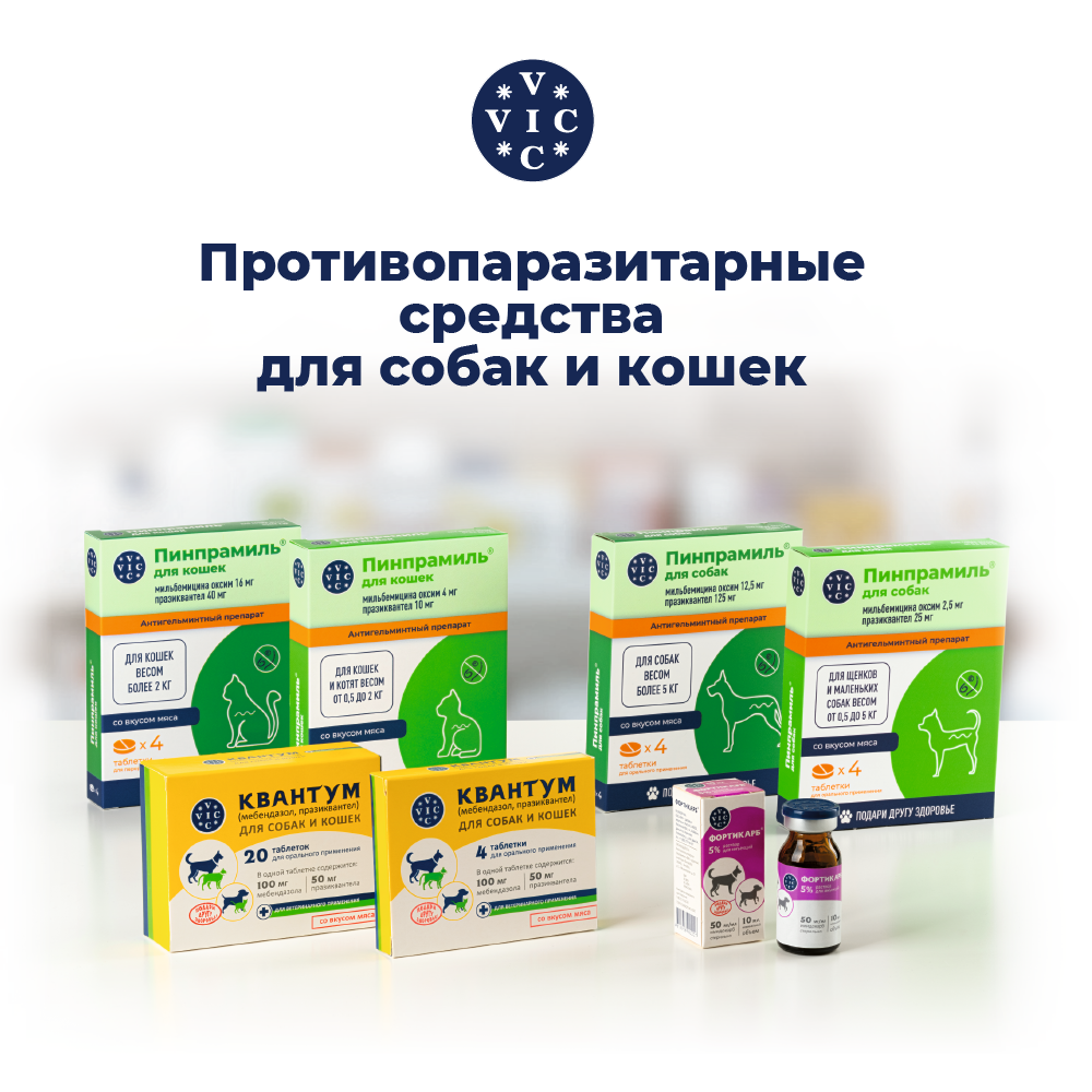 Антигельминтик для собак и кошек DOCTOR VIC Квантум 20табл.