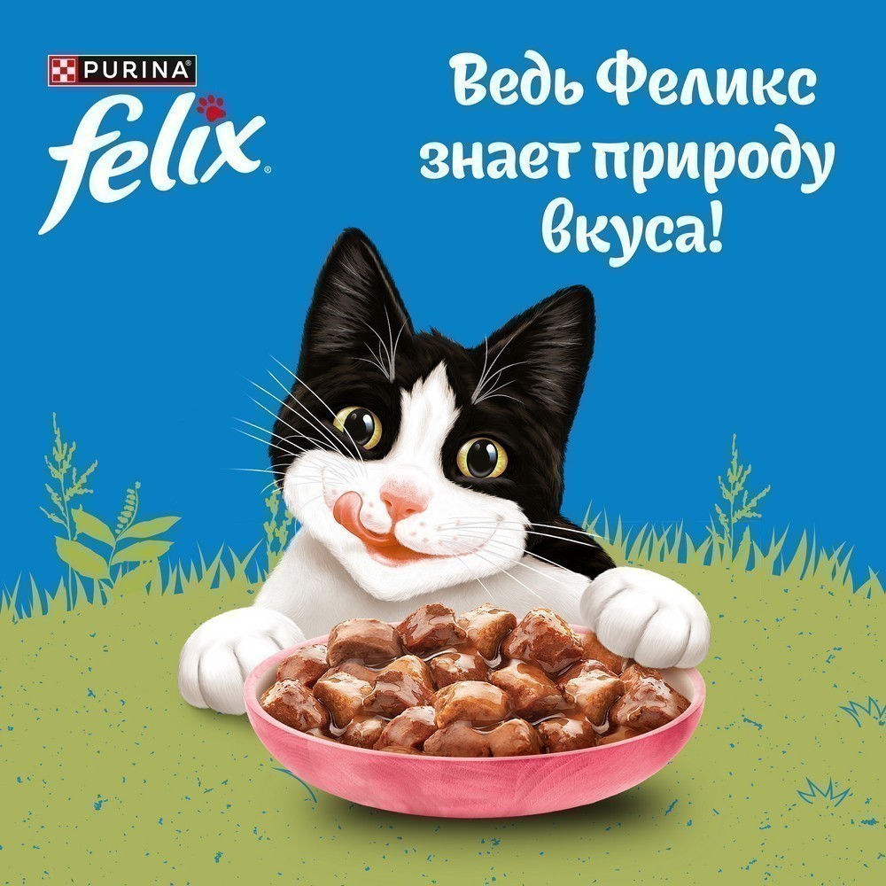 Корм для кошек FELIX Природа вкуса с лососем в соусе пауч