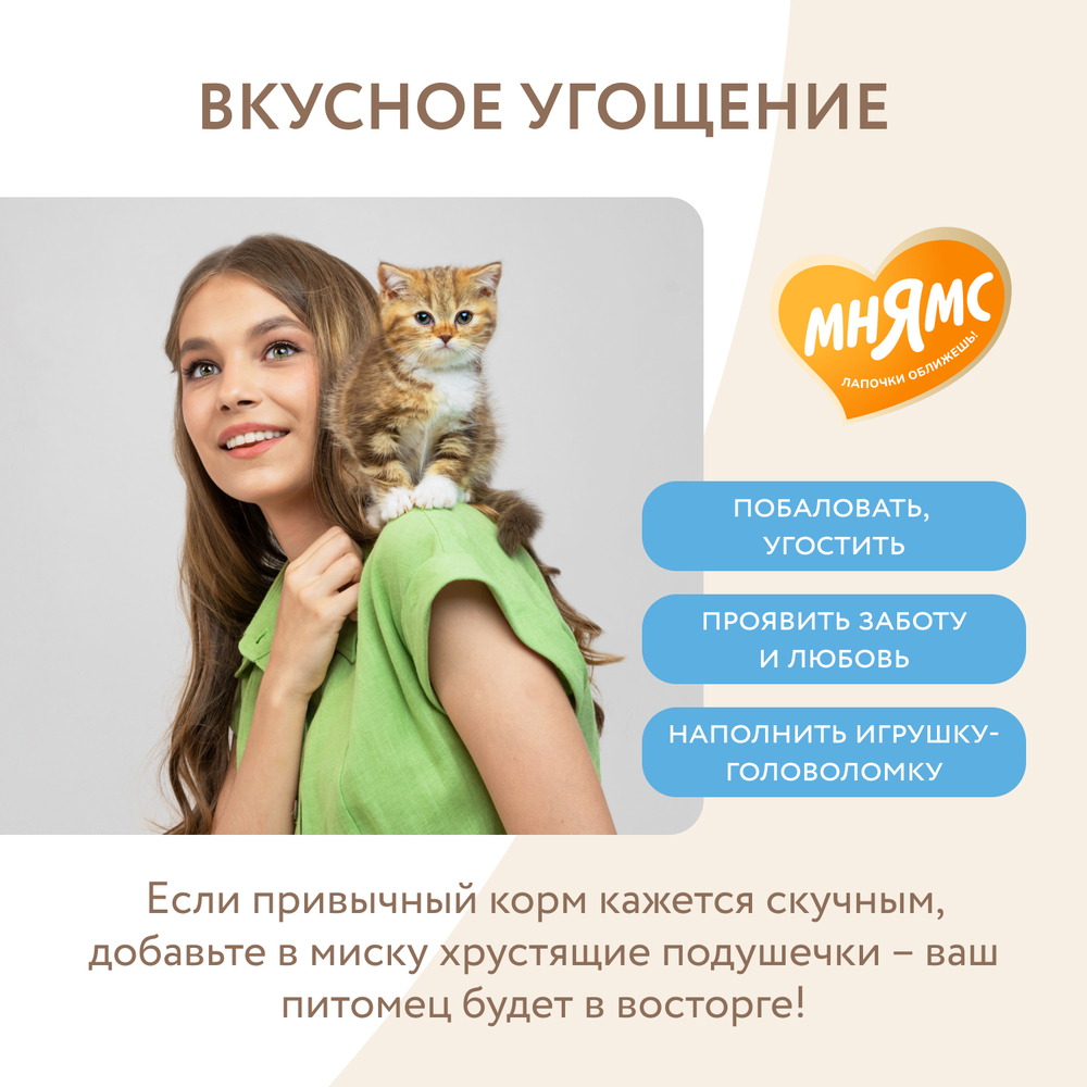 Лакомство для котят МНЯМС Здоровый котенок хрустящие подушечки с цыпленком и яйцом