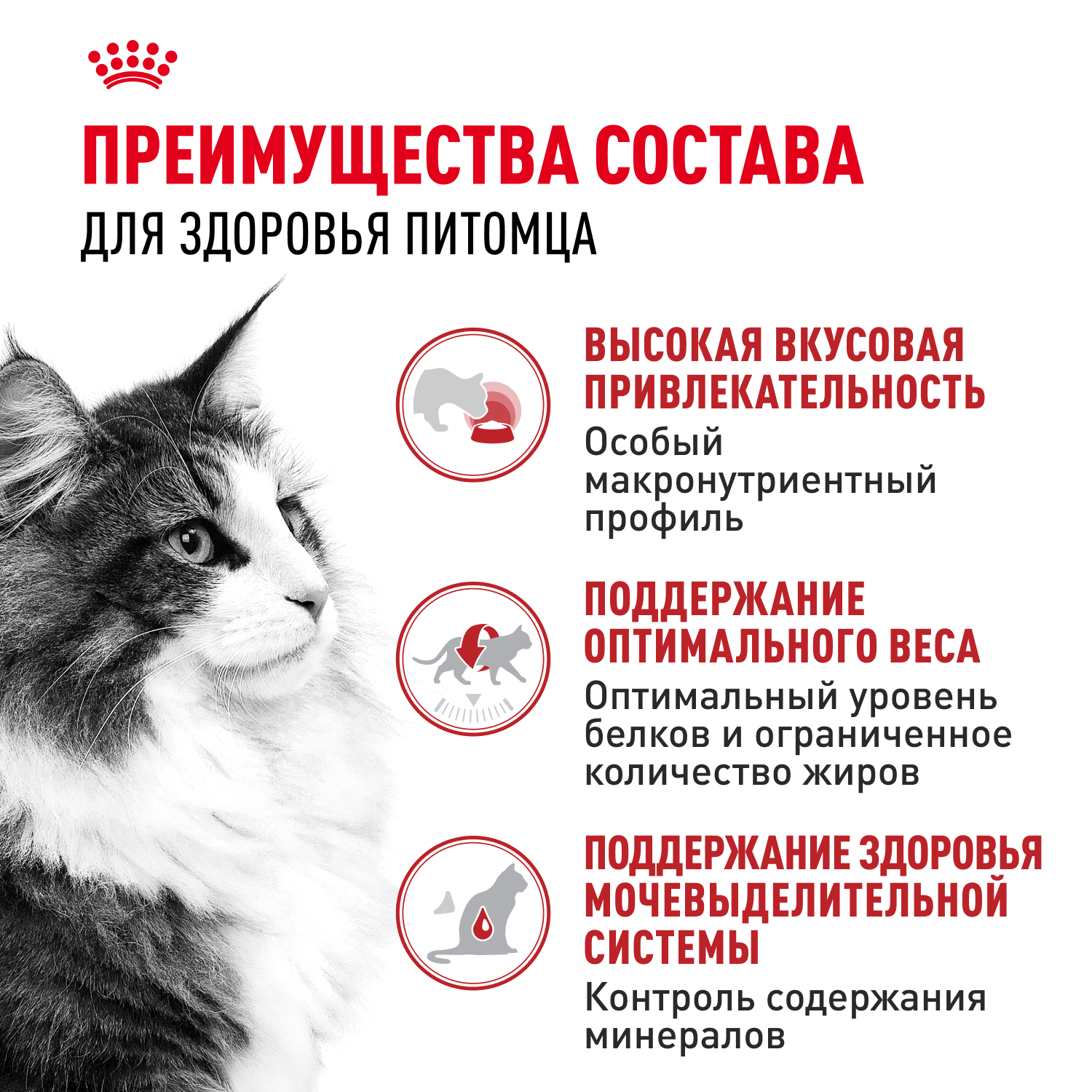 Корм для кошек ROYAL CANIN Instinctive желе пауч