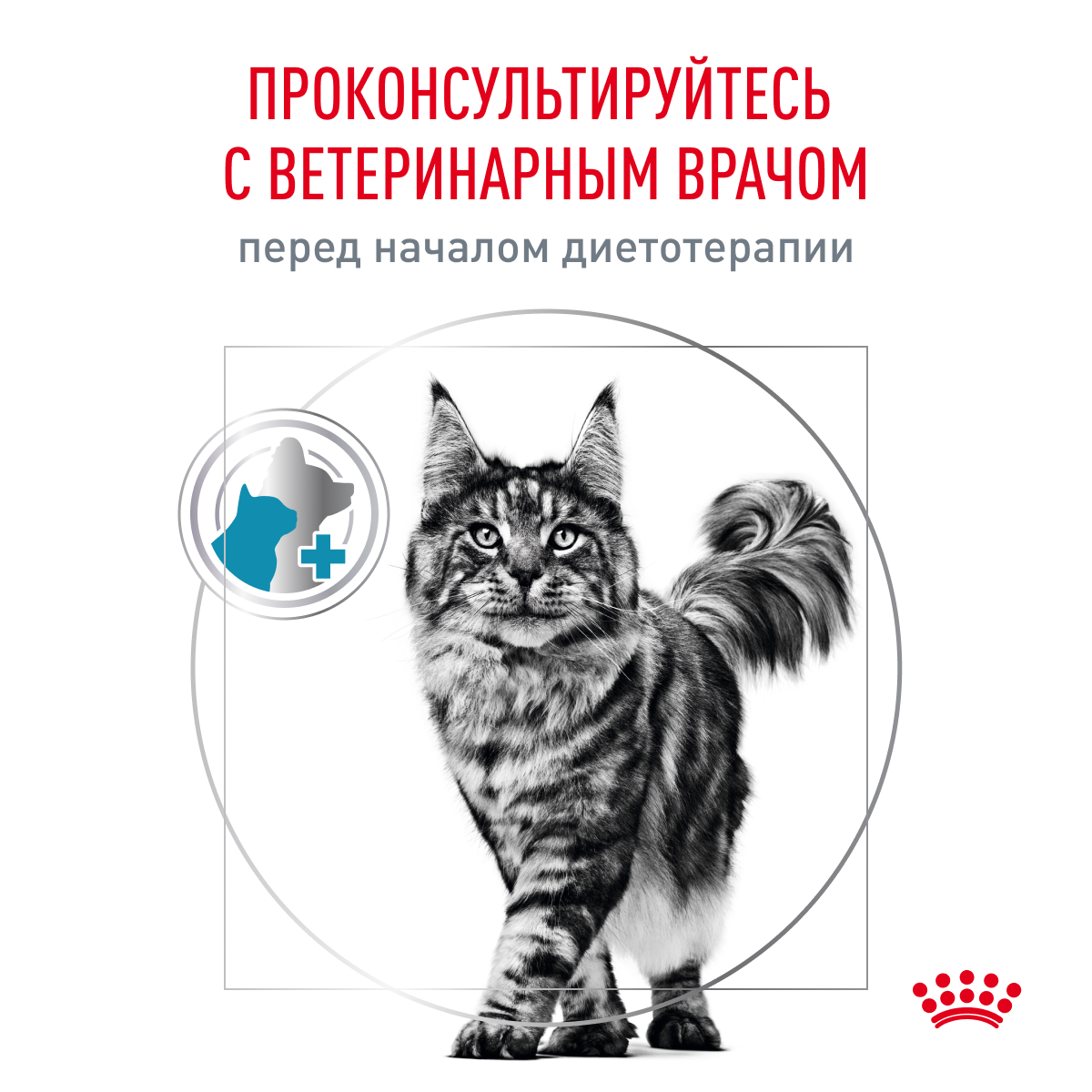 Корм для кошек ROYAL CANIN Hypoallergenic при пищевой аллергии сух.