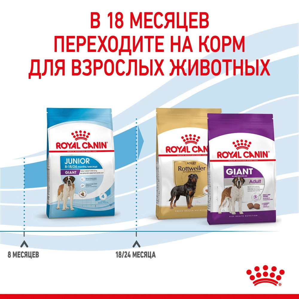Корм для щенков ROYAL CANIN Giant Junior для очень крупных пород от 8 месяцев сух.
