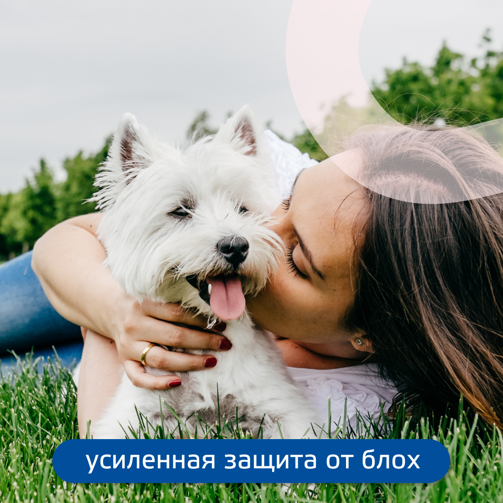 Капли для собак KRKA Фиприст Спот Он 2-10кг 67мг/0,67мл 1 пипетка (монопак)