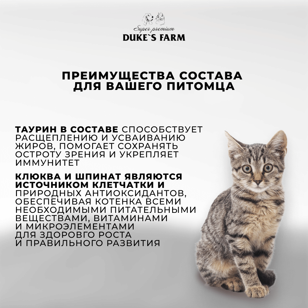 Корм для котят DUKE'S FARM паштет утка, шпинат банка