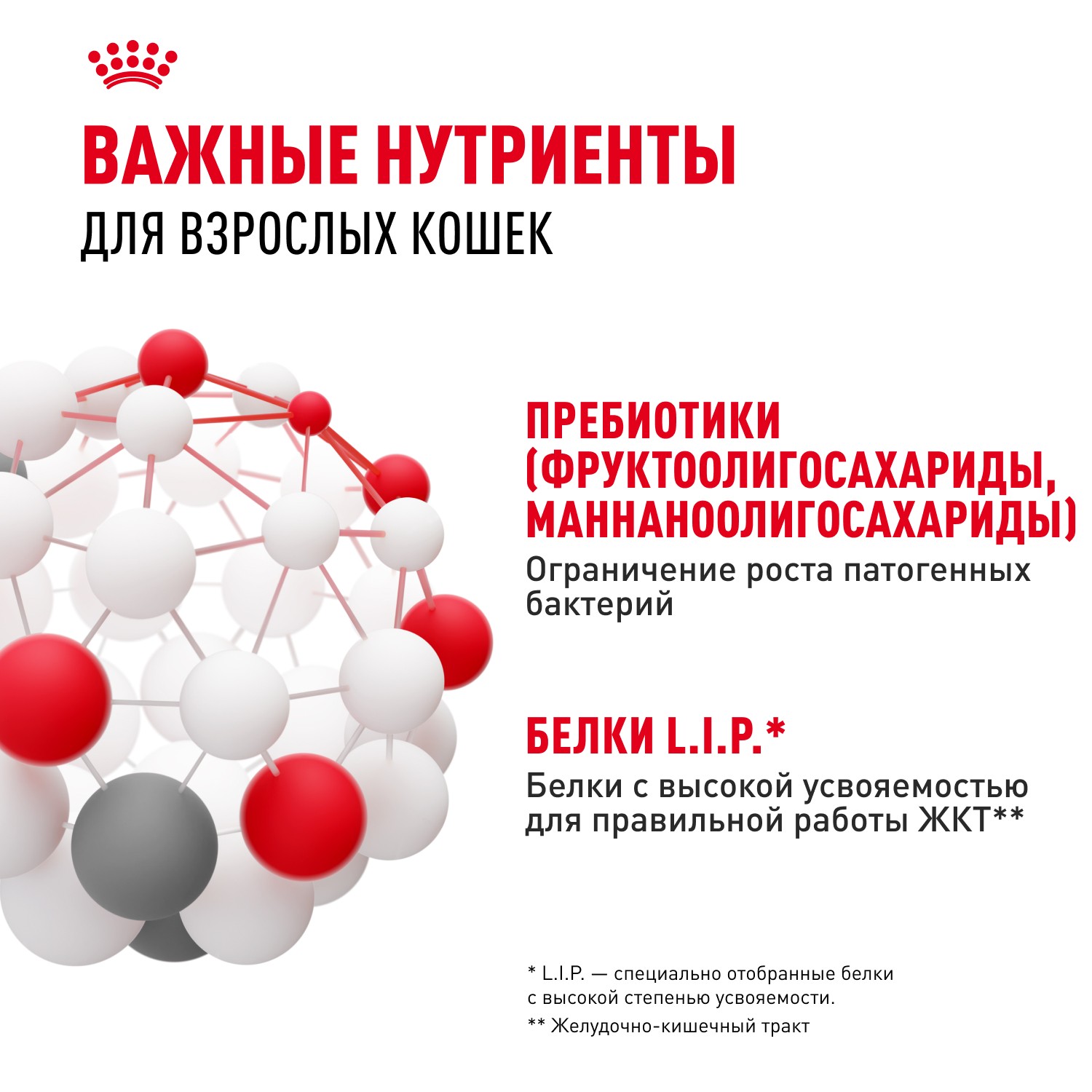 Корм для кошек ROYAL CANIN Digestive Comfort при расстройстве пищеварения сух.