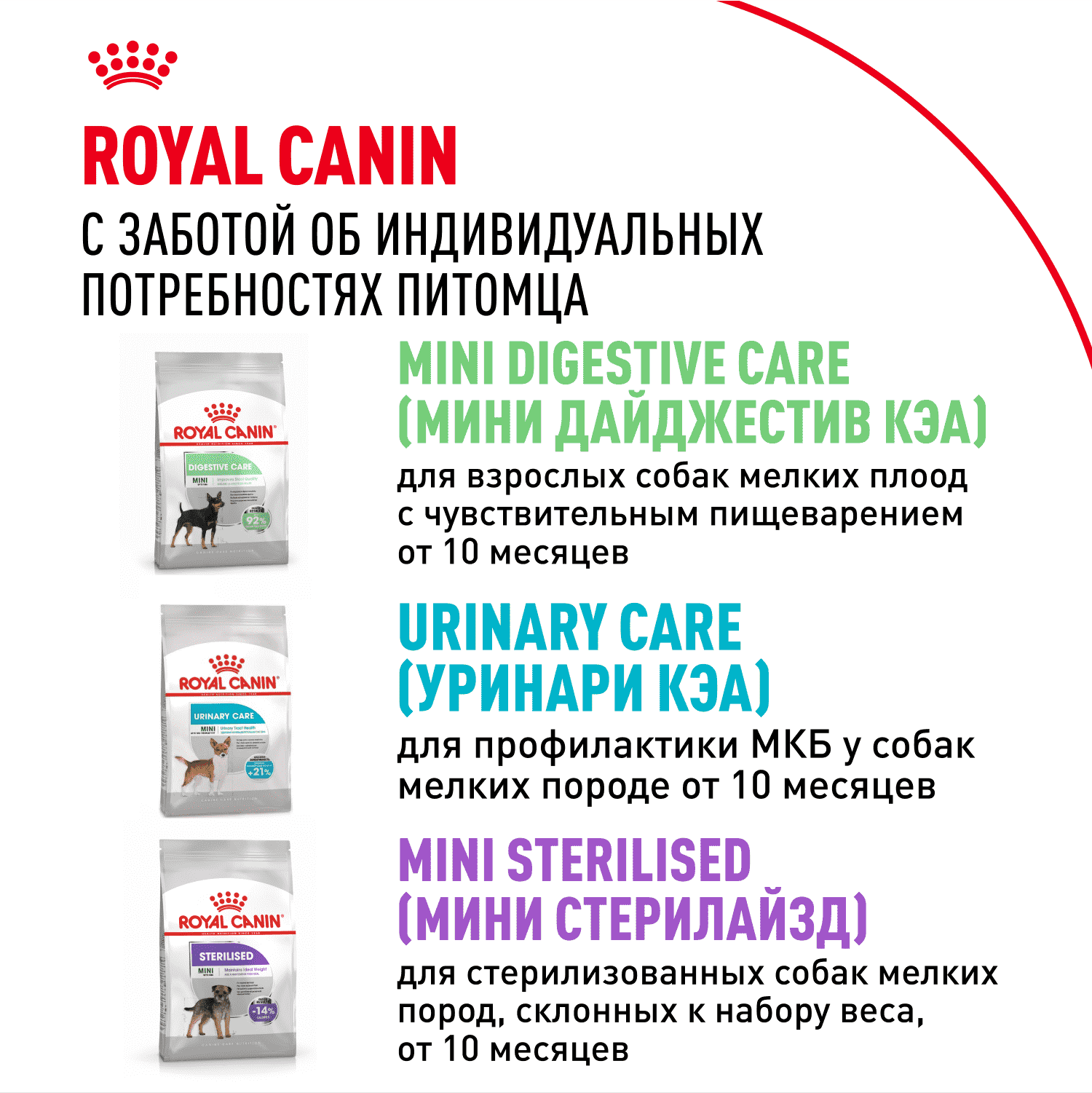 Корм для собак ROYAL CANIN Chihuahua Adult для породы чихуахуа от 8 месяцев сух.