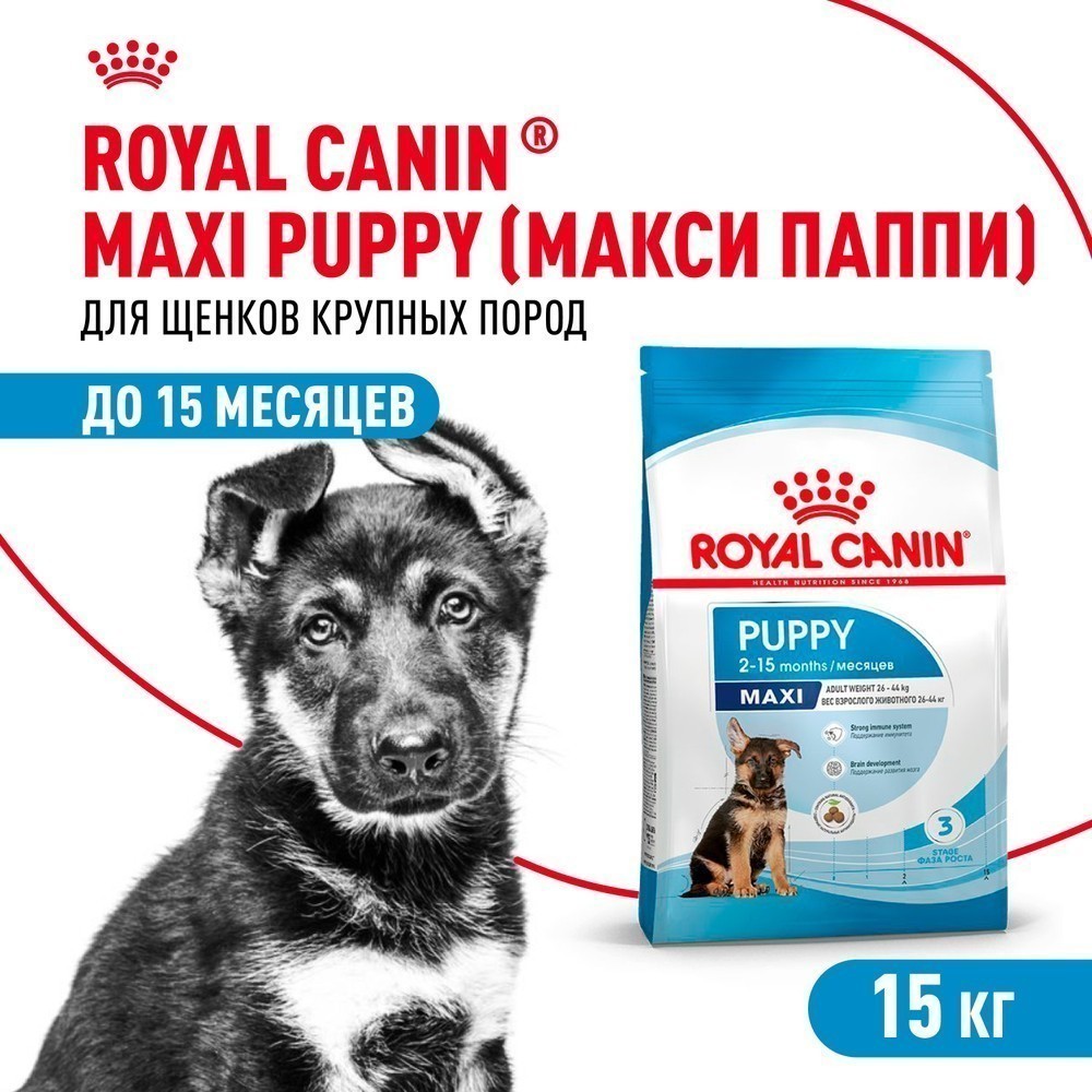 Корм для щенков ROYAL CANIN Maxi Puppy для крупных пород до 15 месяцев, сух.