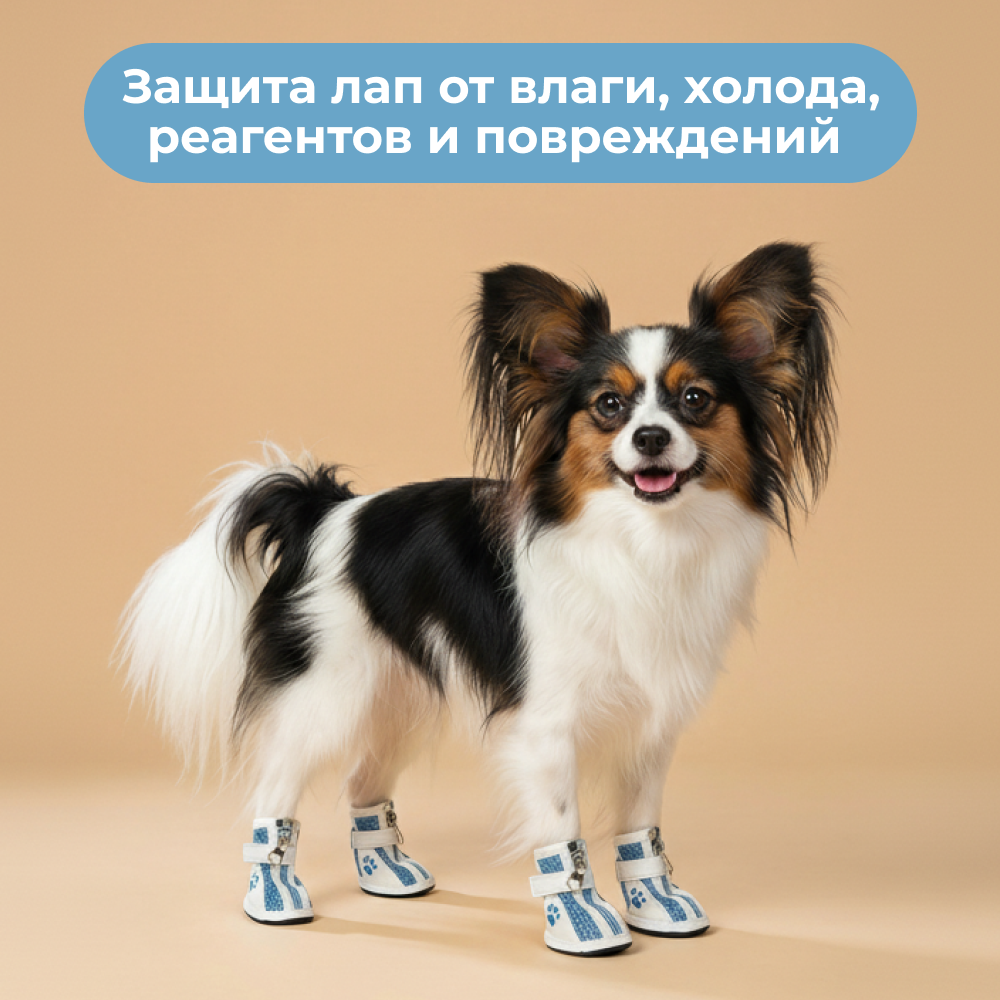 Ботинки для собак FOXIE Paws S 5,2х3,5см голубые