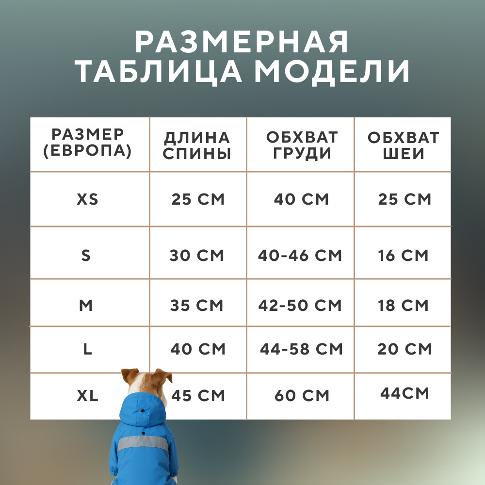 Дождевик для собак FOXIE Rain синий