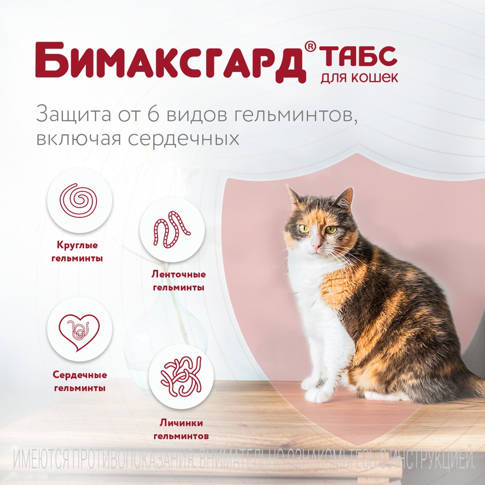 Антигельминтик для котят и маленьких кошек NEOTERICA Бимаксгард ТАБС, 2 таб.(0,5-2кг)