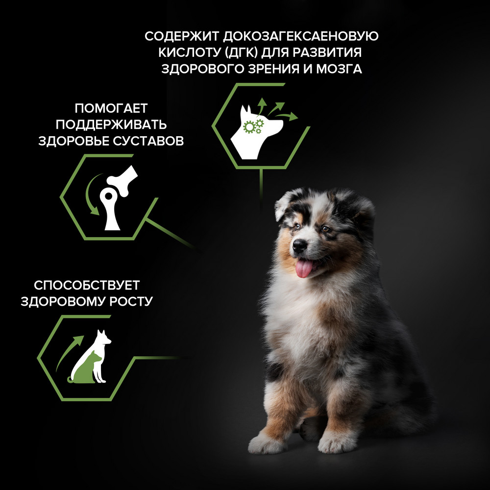 Корм для щенков PRO PLAN Healthy Start для средних пород, с курицей сух.