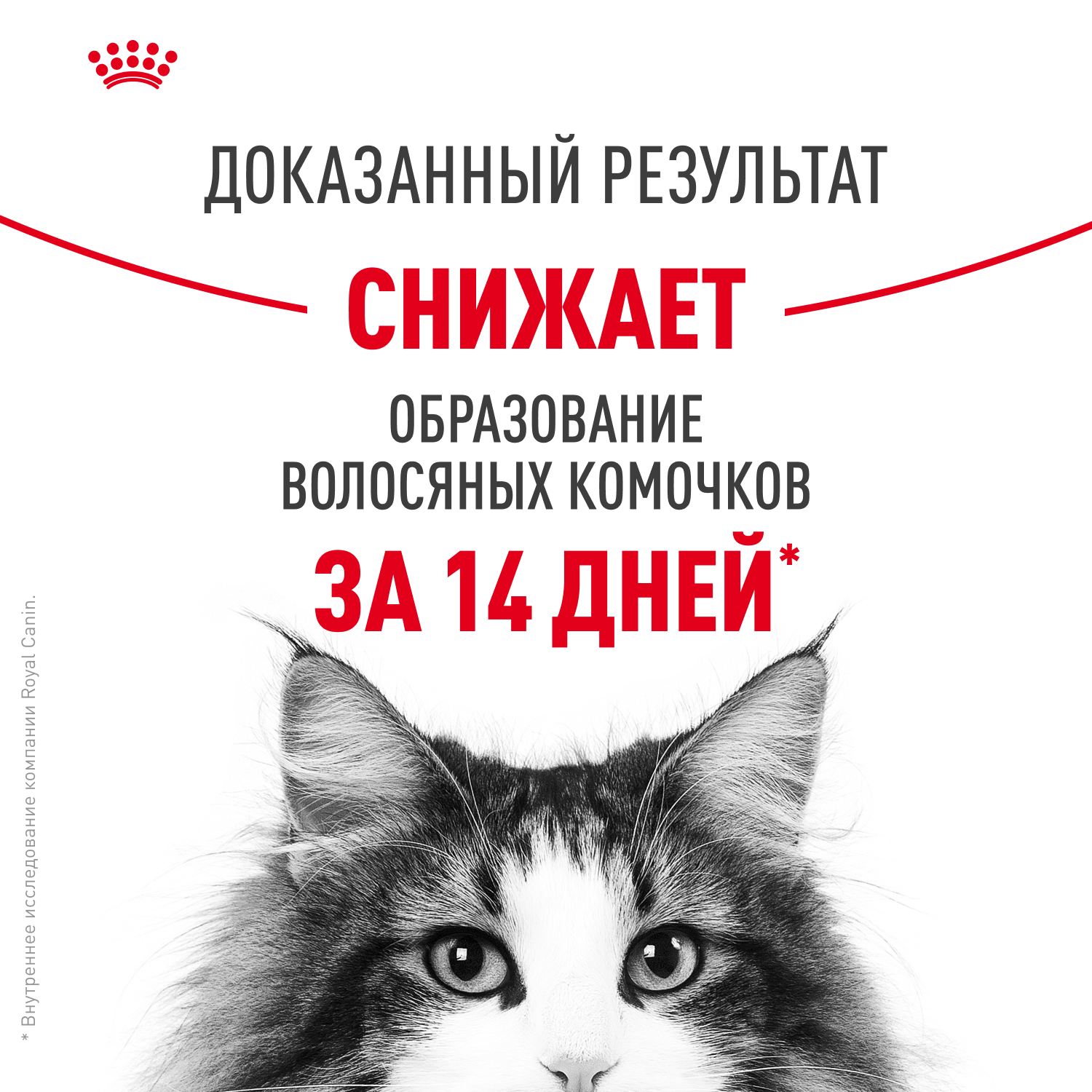Корм для кошек ROYAL CANIN Hairball Care для профил.образования волосяных комочков, соус пауч