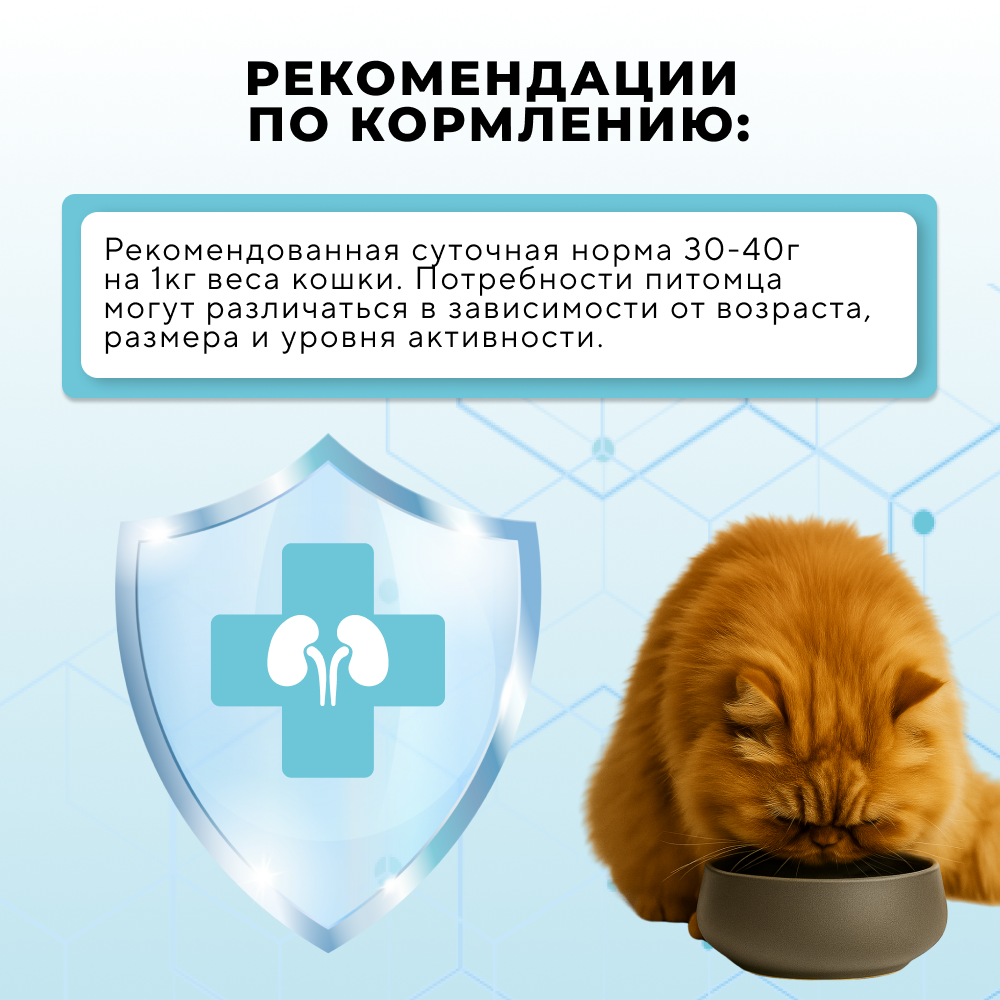 Корм для кошек DUKE'S FARM Vet Care Renal для профилактики почечной недостаточности, с ягненком, паштет банка
