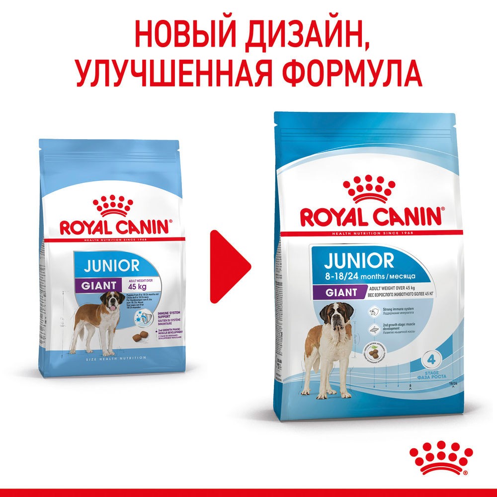 Корм для щенков ROYAL CANIN Giant Junior для очень крупных пород от 8 месяцев сух.
