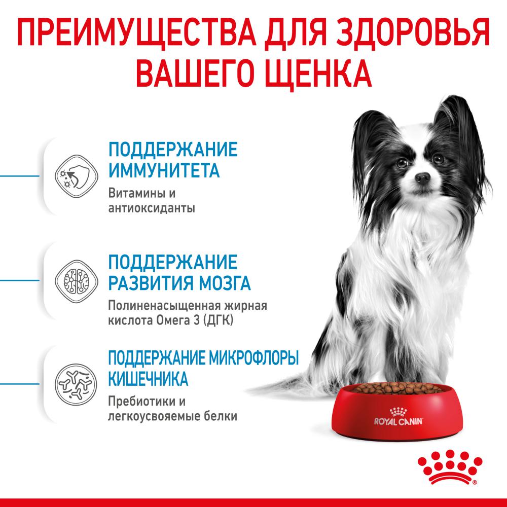 Корм для щенков ROYAL CANIN X-Small Puppy для миниатюрных пород до 10мес. сух.
