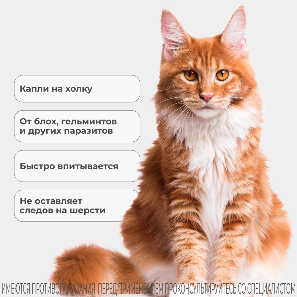 Капли для кошек KRKA Селафорт от ушн и чесоточ.клещей, блох, гельм 7,6-10,0кг, 1мл (60мг), 1 уп.