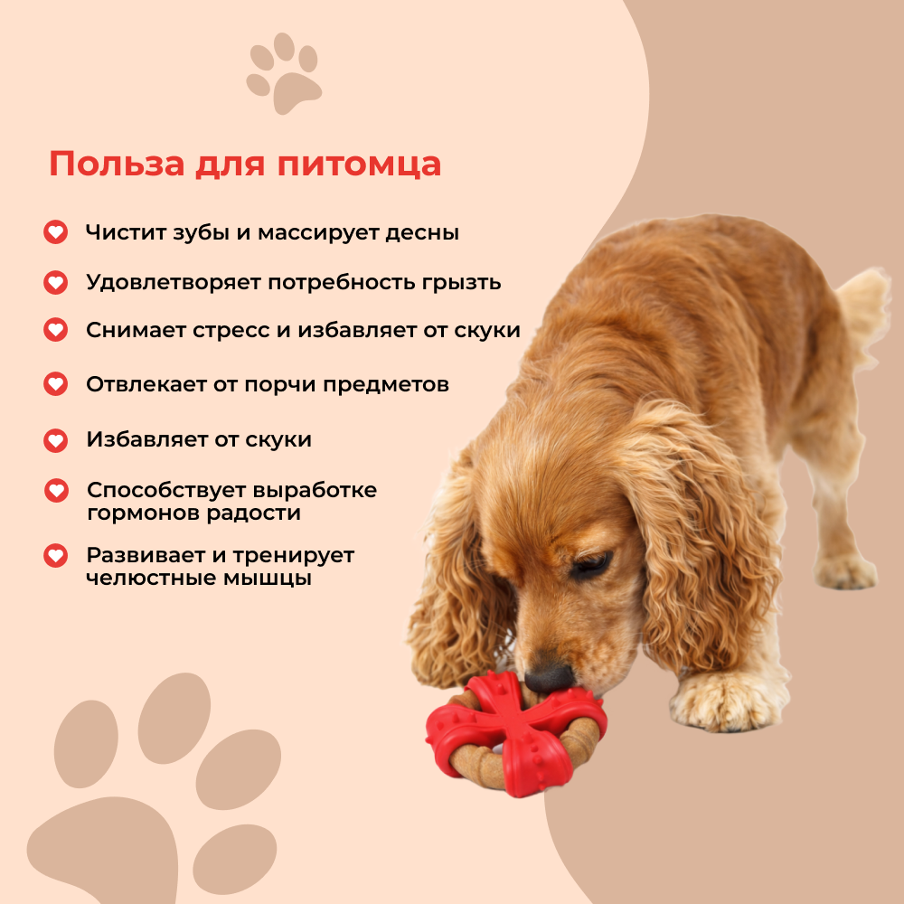 Игрушка для собак FOXIE Munch Cross массажная 12,5х12,5х4,5см