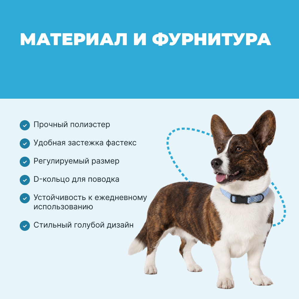 Ошейник для собак FOXIE Fish S 1,5х25-40см голубой
