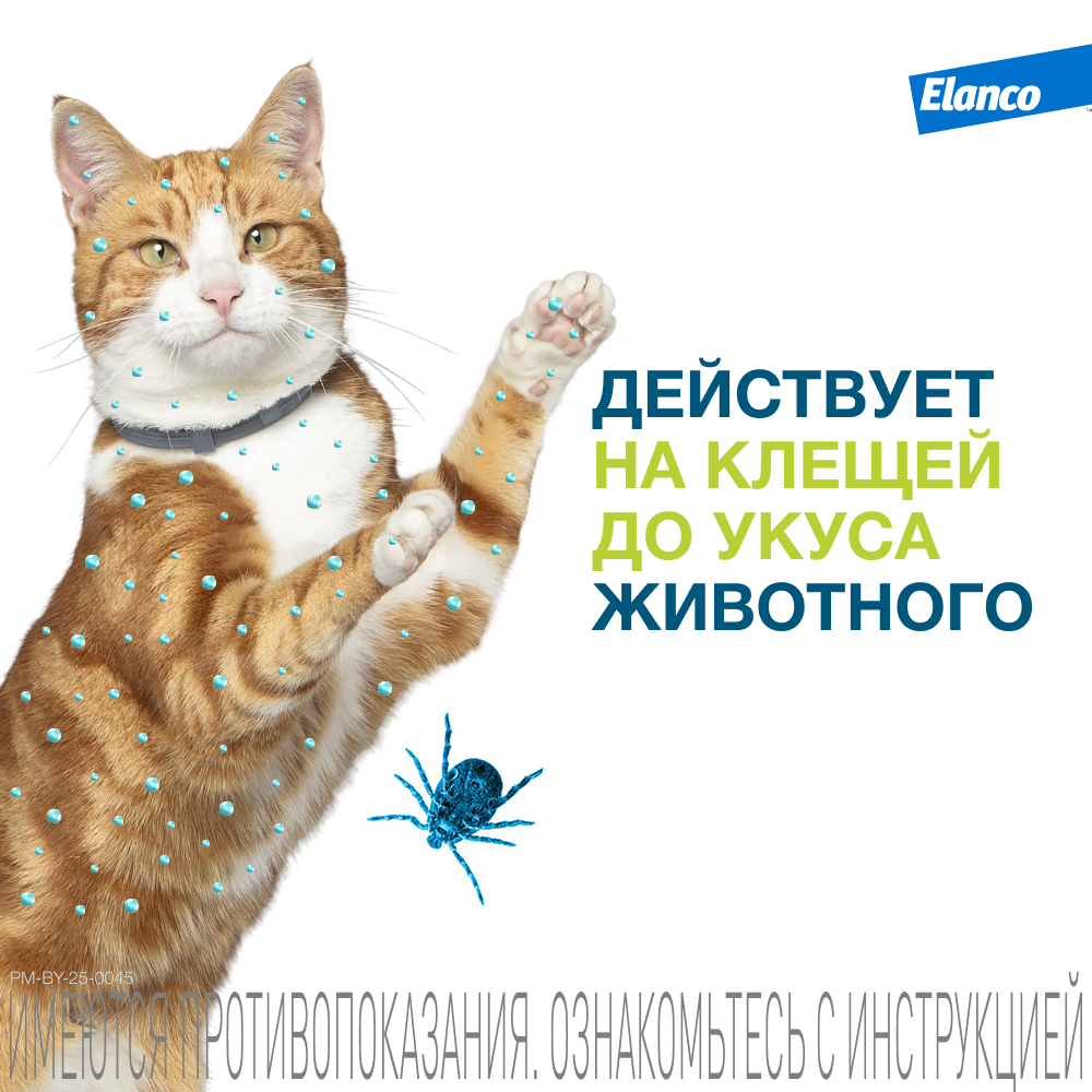 Ошейник для кошек ELANCO Форесто от клещей, блох и вшей, защита 8 месяцев