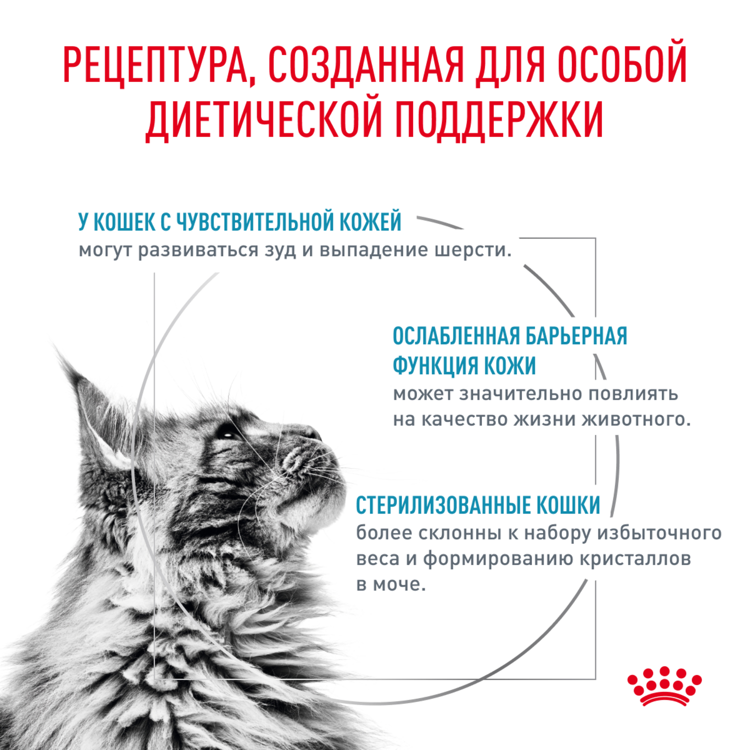 Корм для кошек ROYAL CANIN Skin & Coat для поддержания защитных функций кожи сух.