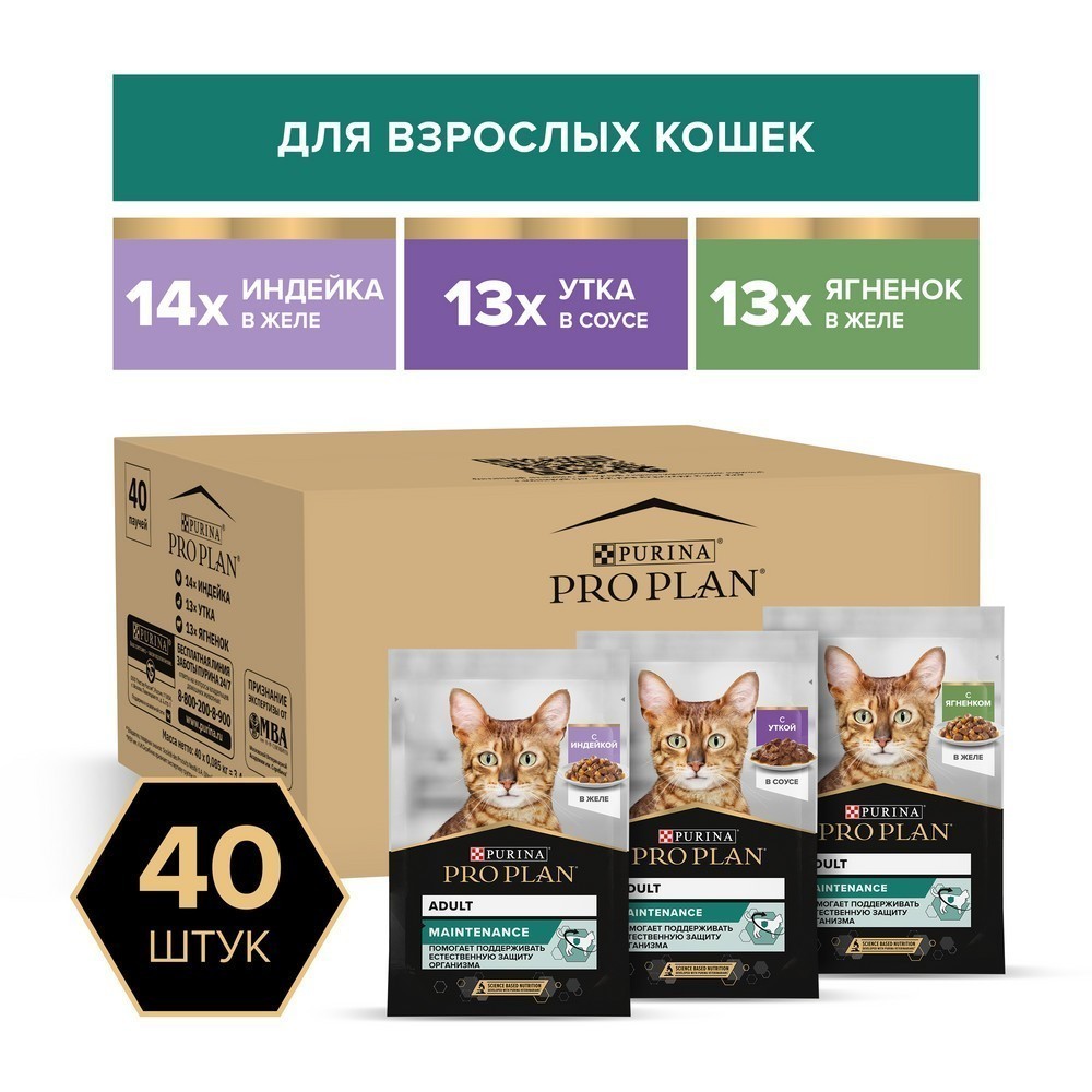 Корм для кошек PRO PLAN Maintenance индейка, утка, ягненок в желе 40x85г НАБОР