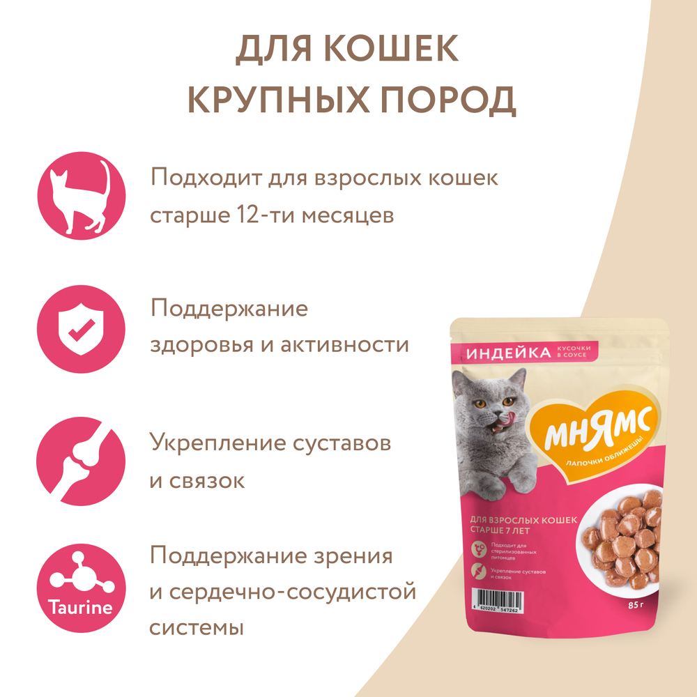 Корм для кошек МНЯМС старше 7 лет, кусочки в соусе с индейкой пауч