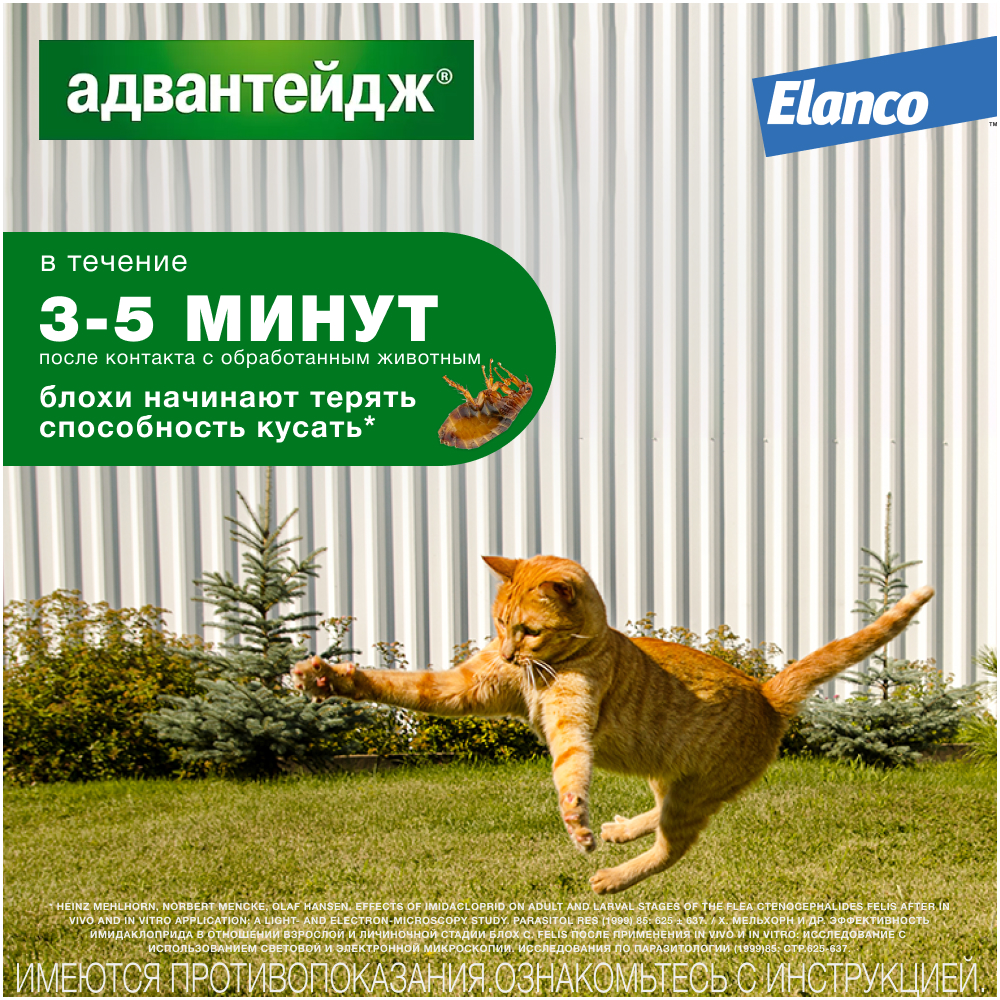 Капли для котят и кошек ELANCO Адвантейдж от блох  (до 4кг), 1 пипетка в упаковке 0,4мл