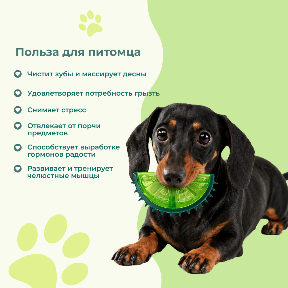 Игрушка для собак FOXIE Melon для чистки зубов 12,3x7,5см
