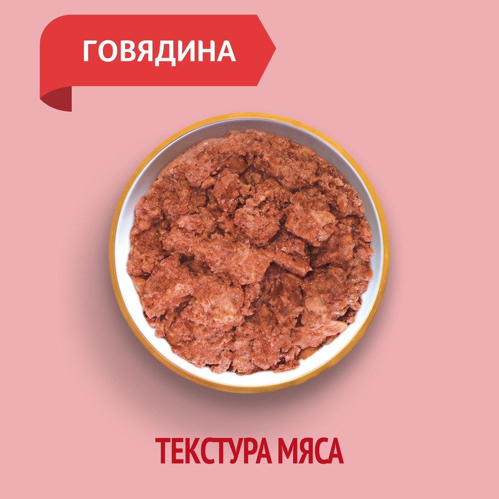 Корм для собак ЗООГУРМАН Мясное ассорти говядина отборная банка