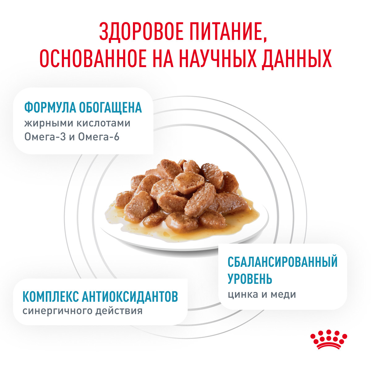 Корм для кошек ROYAL CANIN Skin&Coat для поддержания здоровья кожи и шерсти пауч