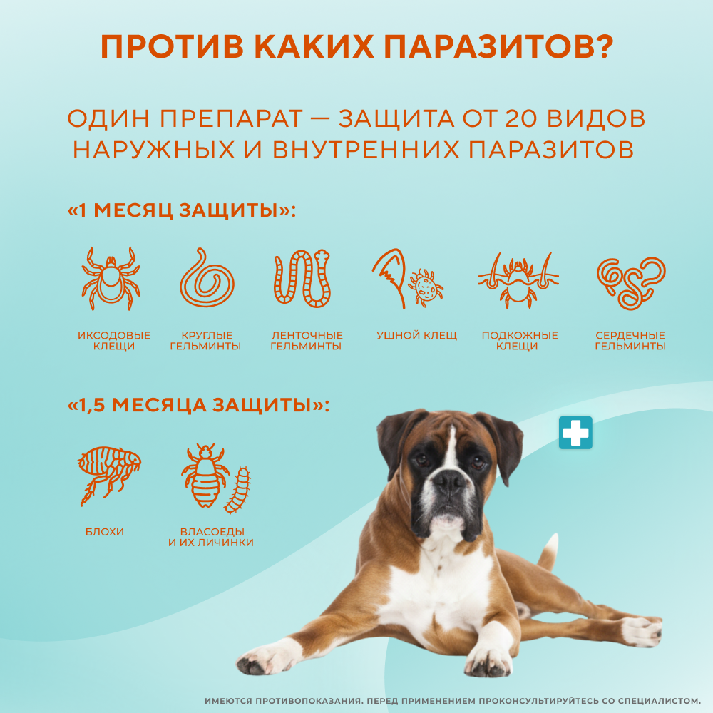 Капли для собак INSPECTOR Quadro от внешних и внутренних паразитов (от 25 до 40кг)