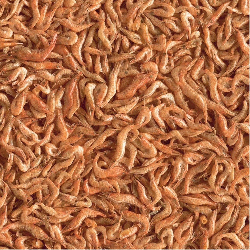 Корм для рептилий TETRA Repto Delica Shrimps с креветками для водных черепах 1000мл