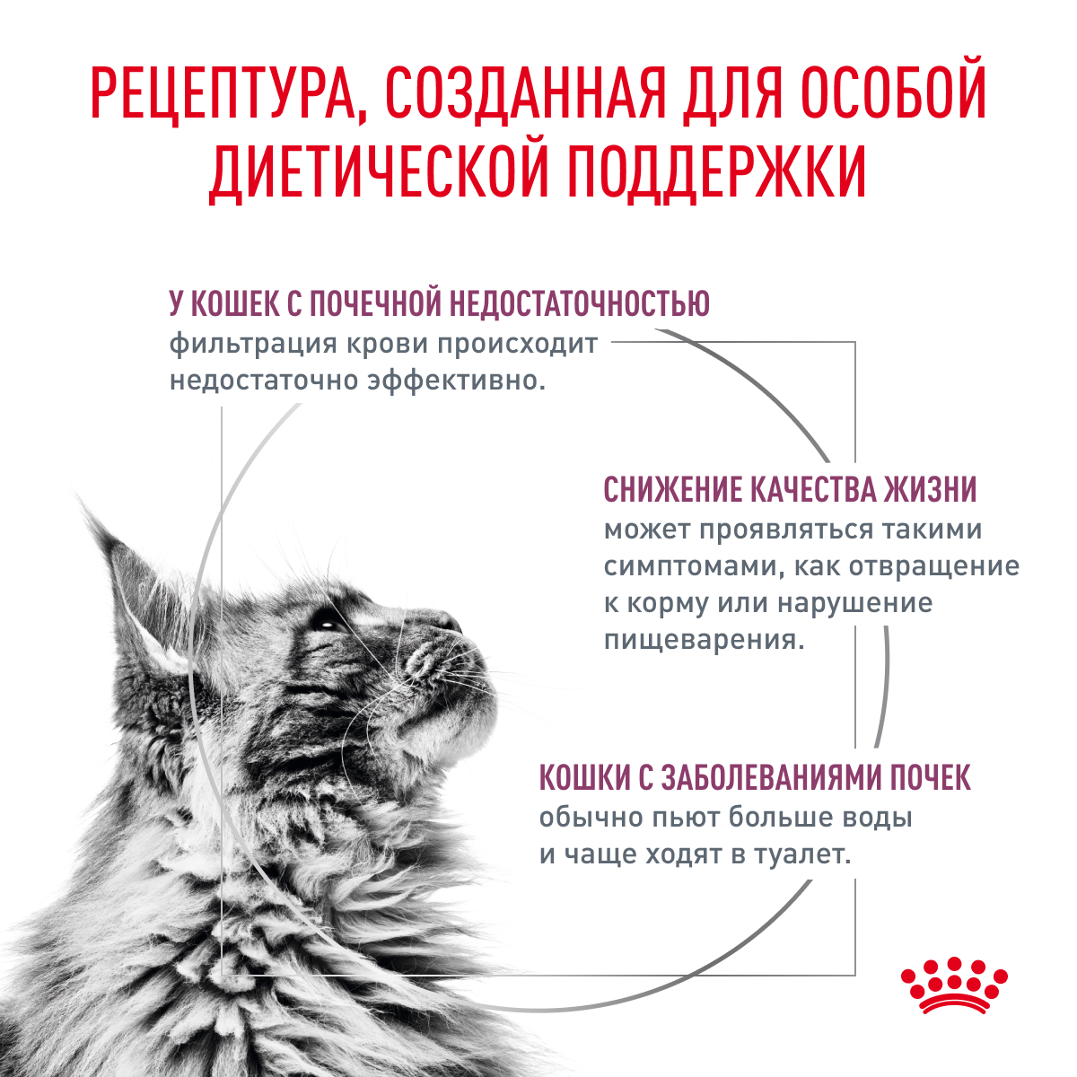 Корм для кошек ROYAL CANIN Renal для поддержания функции почек, белая рыба пауч