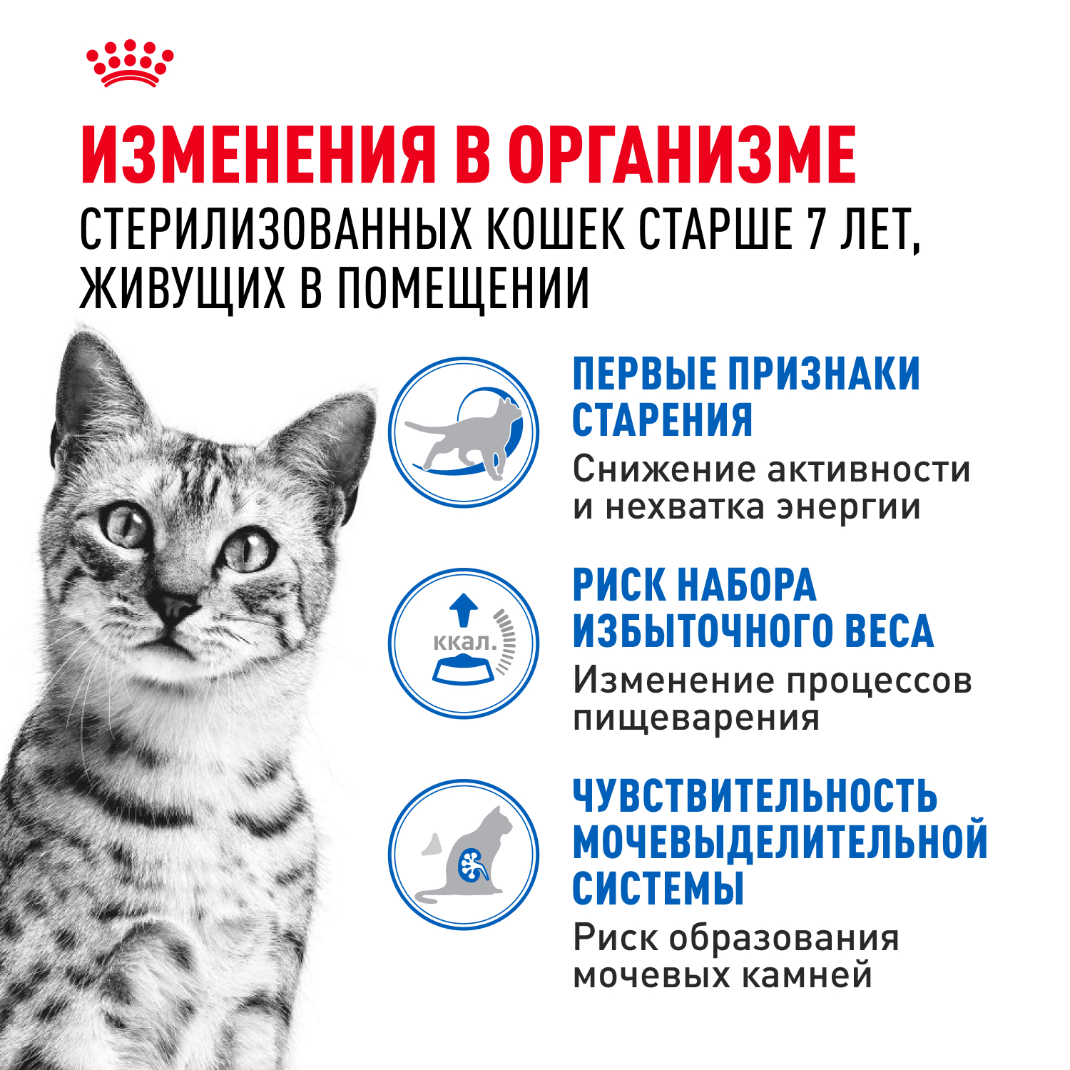 Корм для кошек ROYAL CANIN Indoor 7+ для домашних старше 7 лет (соус) пауч