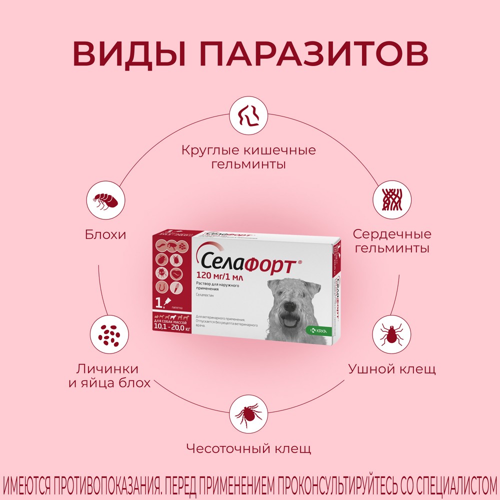 Капли для собак KRKA Селафорт от ушных и чесоточ.клещей, блох, гельминтов 10,1-20кг (120мг) 1 уп.